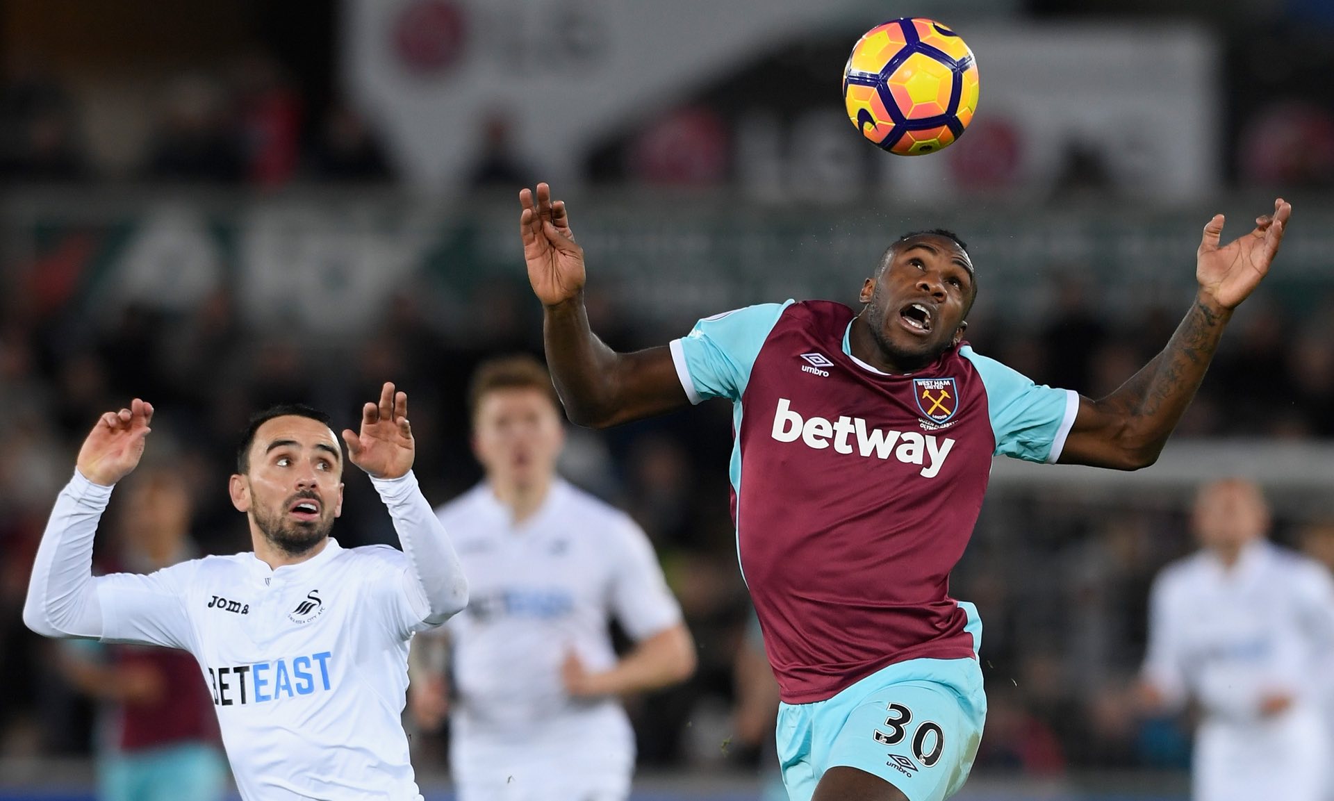 福建男篮的 福建男篮的